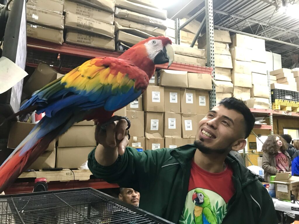 A bird breeder proudly displays his redhead macaw. We are atwitter over the New York Bird Supply!